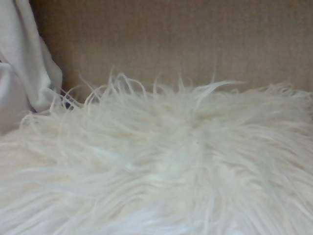 Preview of juanitamami