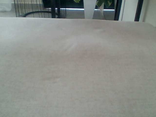 Juanitamami webcam
