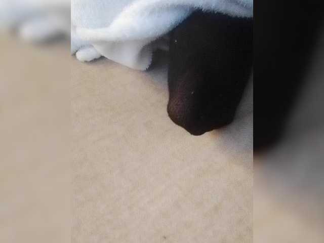 Juanitamami live cam on BongaCams