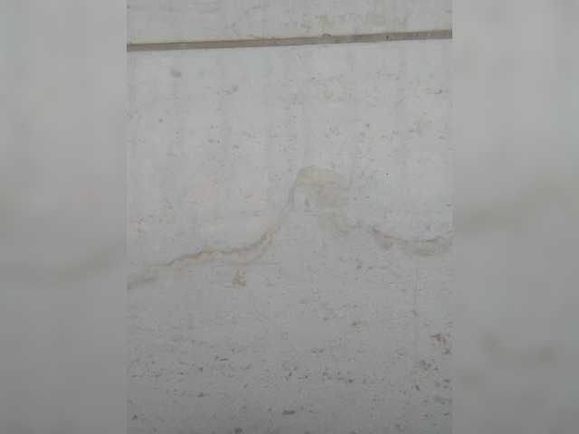 Juanitamami's BongaCams show and profile