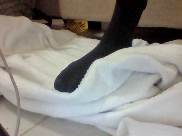 Preview of juanitamami