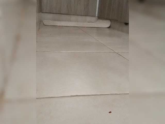 Preview of juanitamami