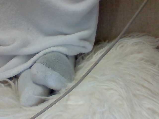 Preview of juanitamami