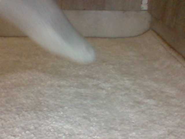 Preview of juanitamami