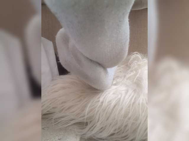 Preview of juanitamami