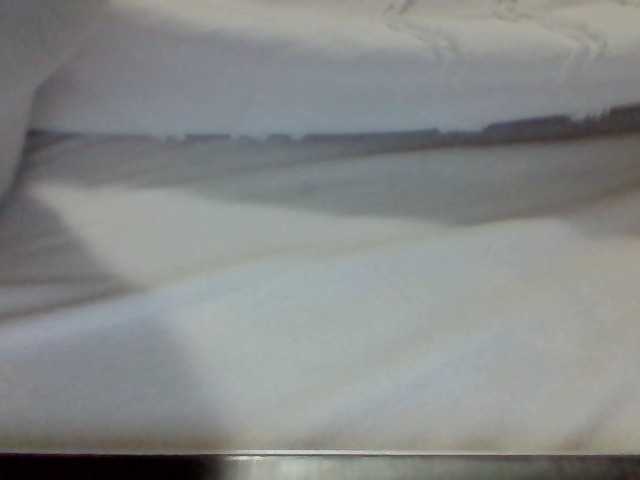Preview of juanitamami