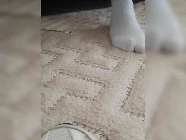 Juanitamami webcam