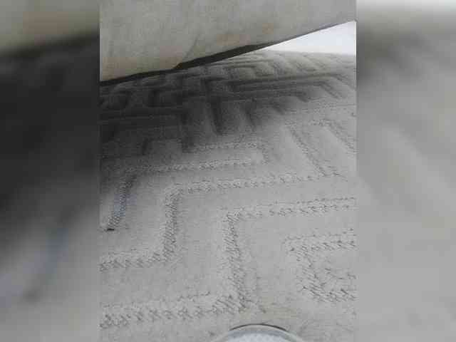 Juanitamami webcam