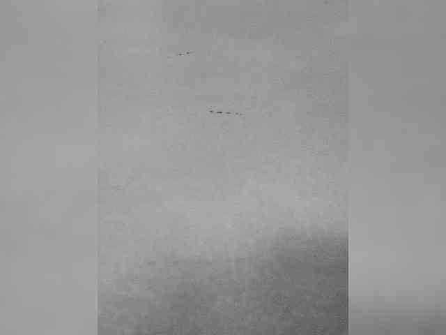 Juanitamami webcam