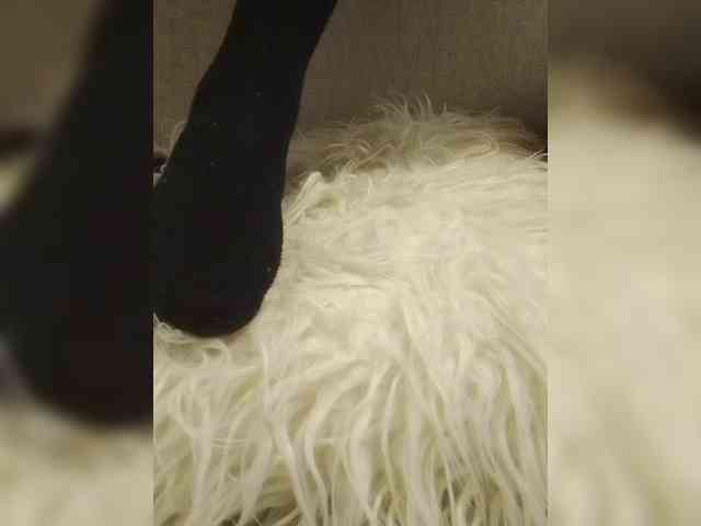 Juanitamami webcam