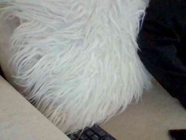 Juanitamami webcam