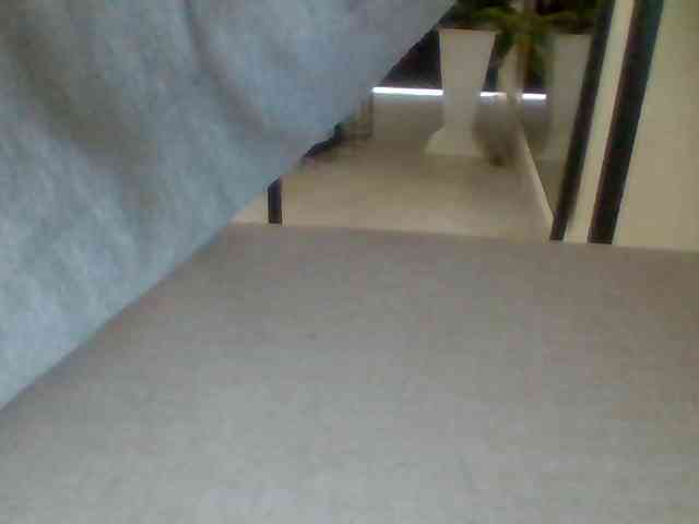Juanitamami webcam