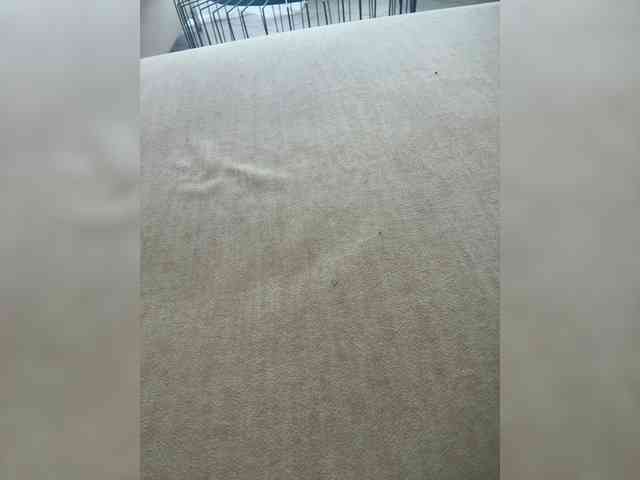 Juanitamami webcam