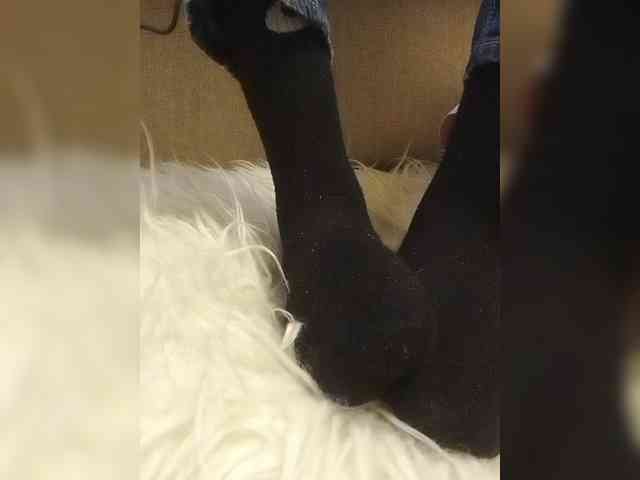 Juanitamami webcam