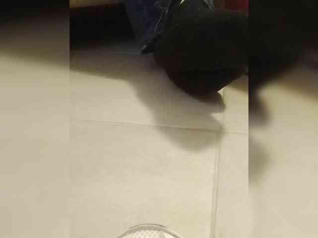 Juanitamami webcam