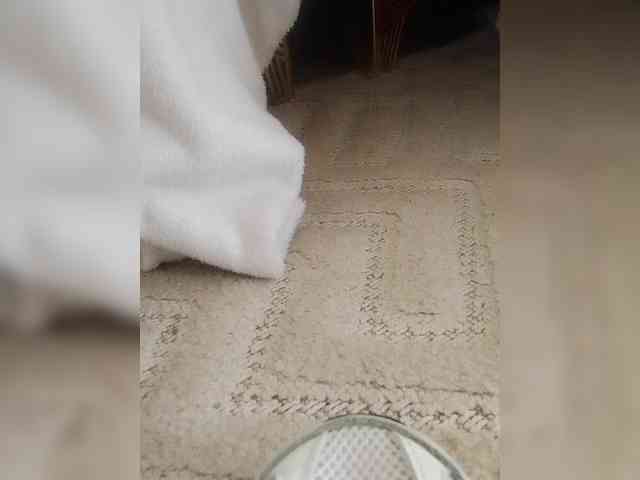 Juanitamami webcam