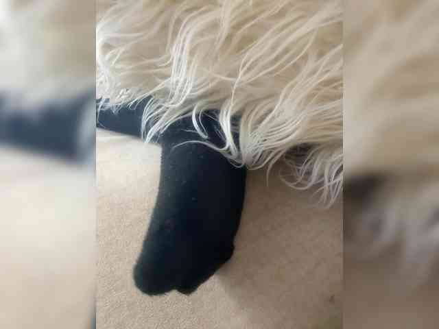 Juanitamami webcam