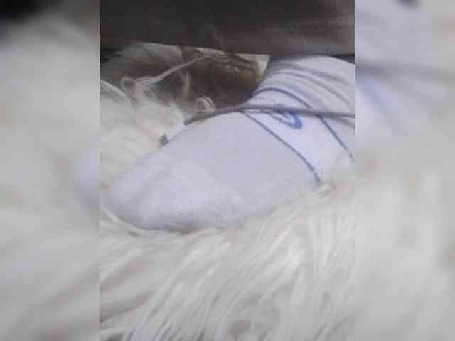 Juanitamami webcam