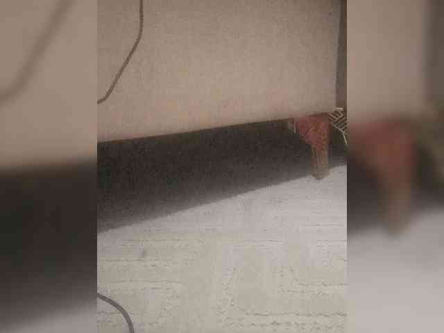 Juanitamami webcam