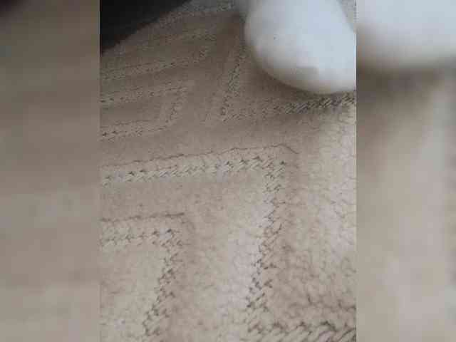Juanitamami webcam