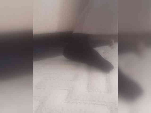 Juanitamami webcam