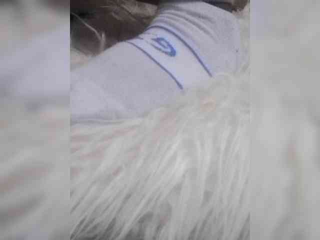 Juanitamami webcam