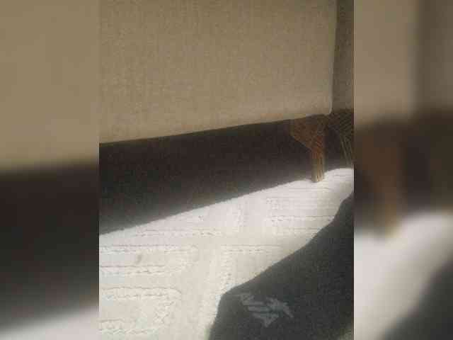 Juanitamami webcam