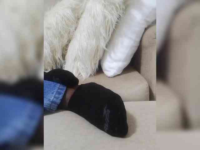 Juanitamami webcam