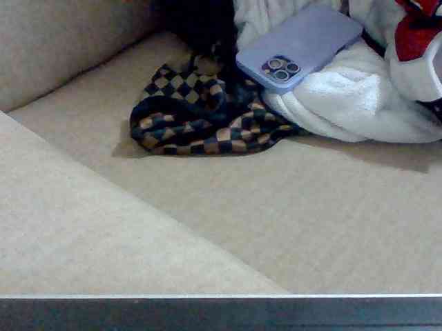 Juanitamami webcam