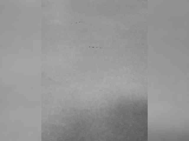 Juanitamami webcam
