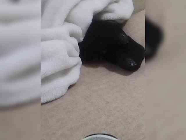 Juanitamami webcam