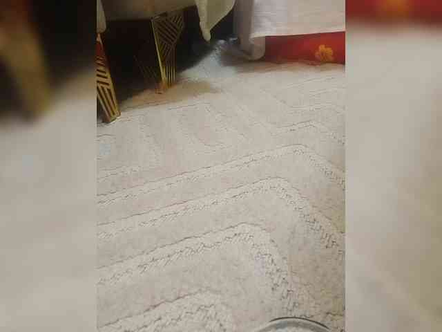 Juanitamami webcam