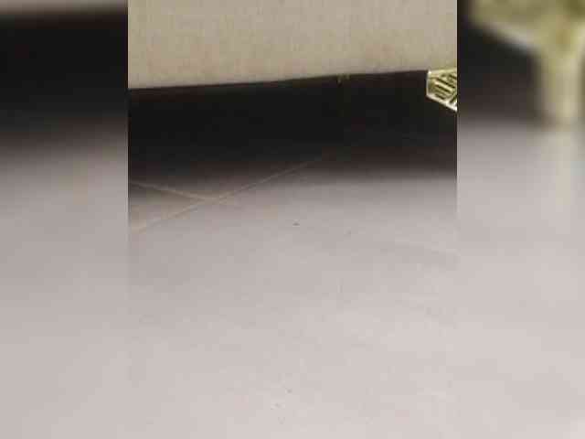 Juanitamami webcam