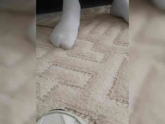 Juanitamami webcam