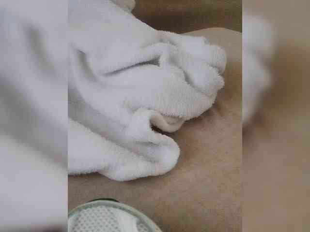 Juanitamami webcam