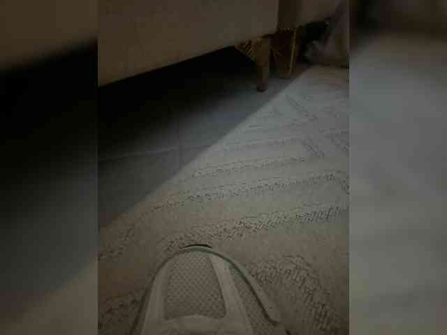 Juanitamami webcam