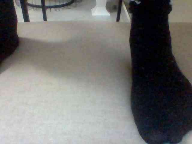 Juanitamami webcam