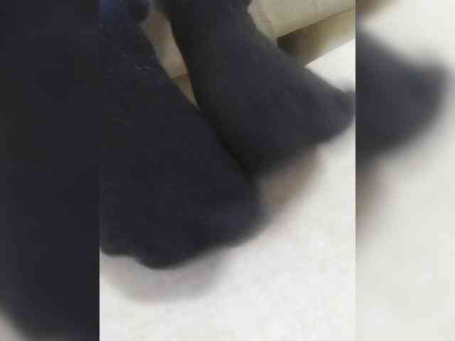 Juanitamami webcam