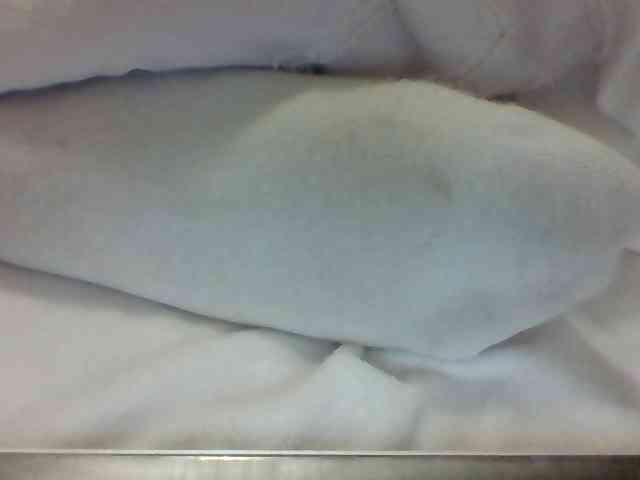 Juanitamami webcam