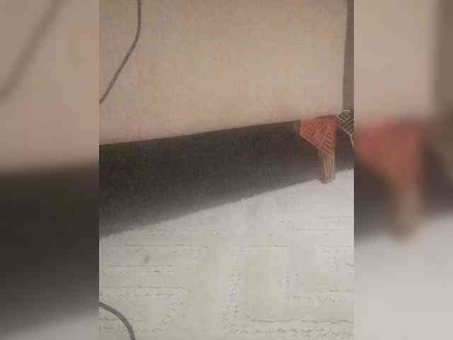 Juanitamami webcam
