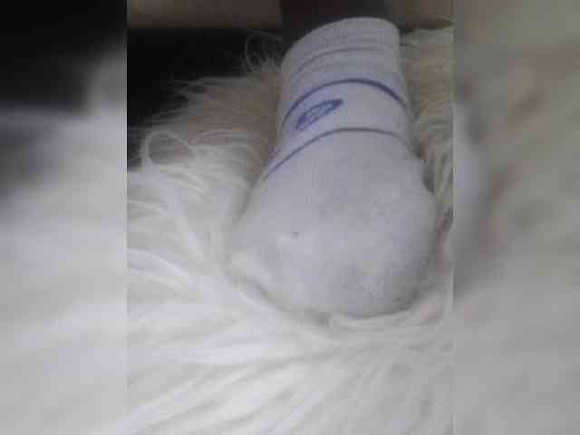 Juanitamami webcam