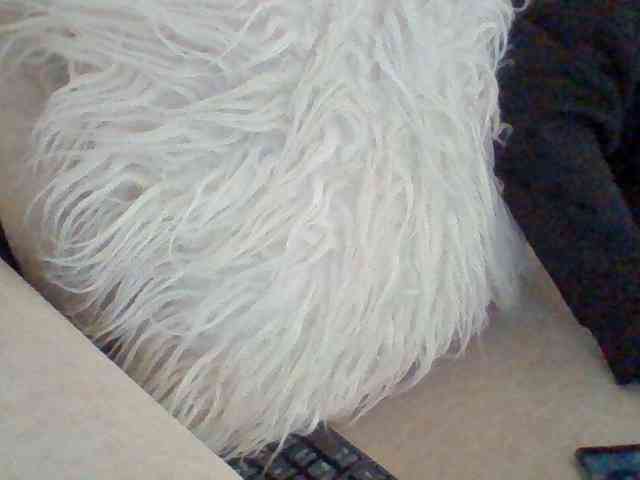 Juanitamami webcam