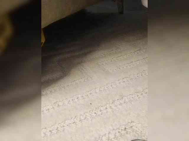 Juanitamami webcam