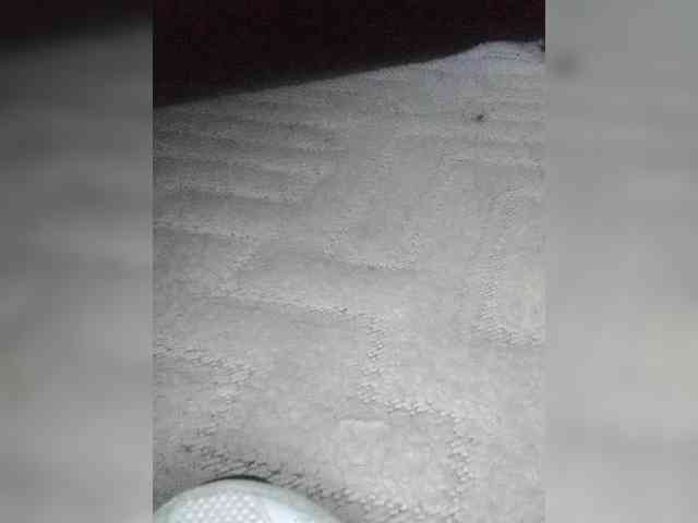 Juanitamami webcam
