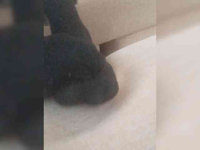 Juanitamami webcam