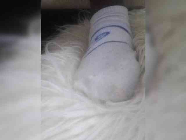 Juanitamami webcam