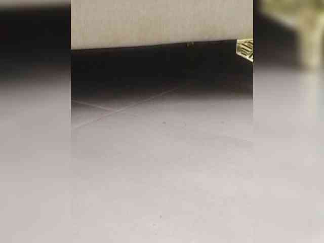 Juanitamami webcam