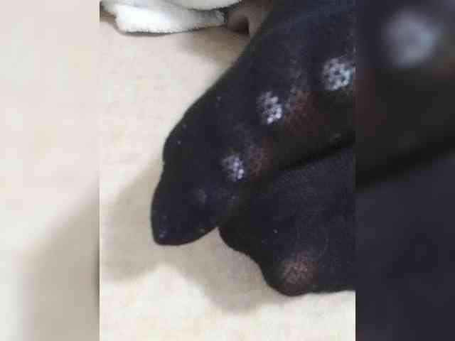 Juanitamami webcam