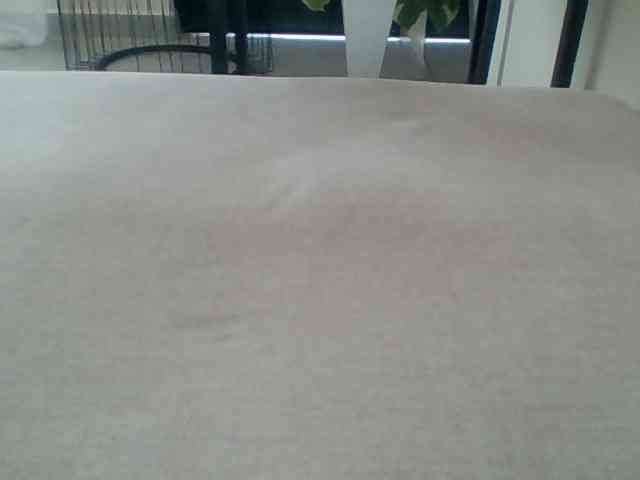 Juanitamami webcam