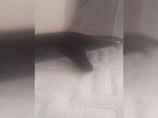 Juanitamami webcam